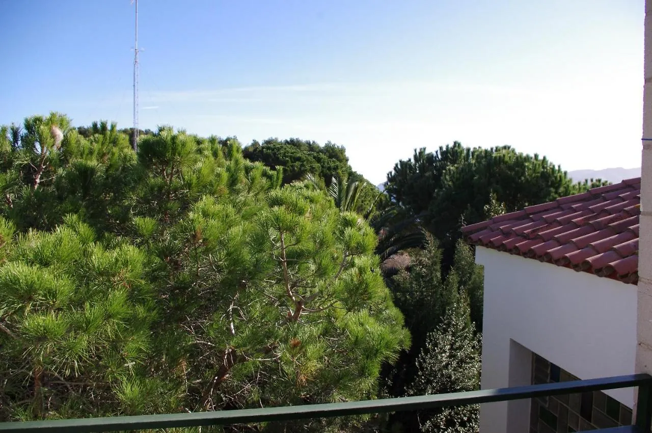 Apartment Apartaments Falco Llanca Spain