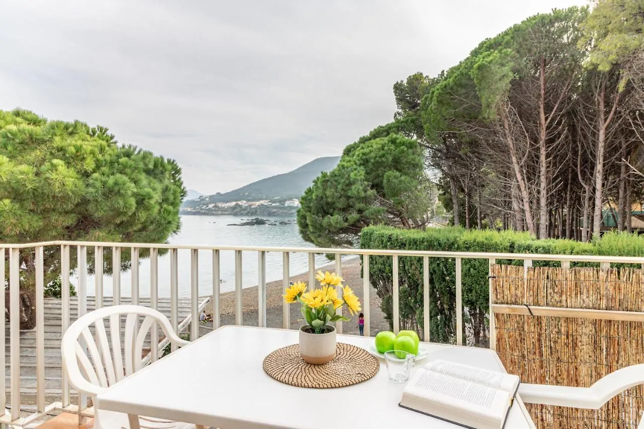 Apartaments Falco Llanca Apartment