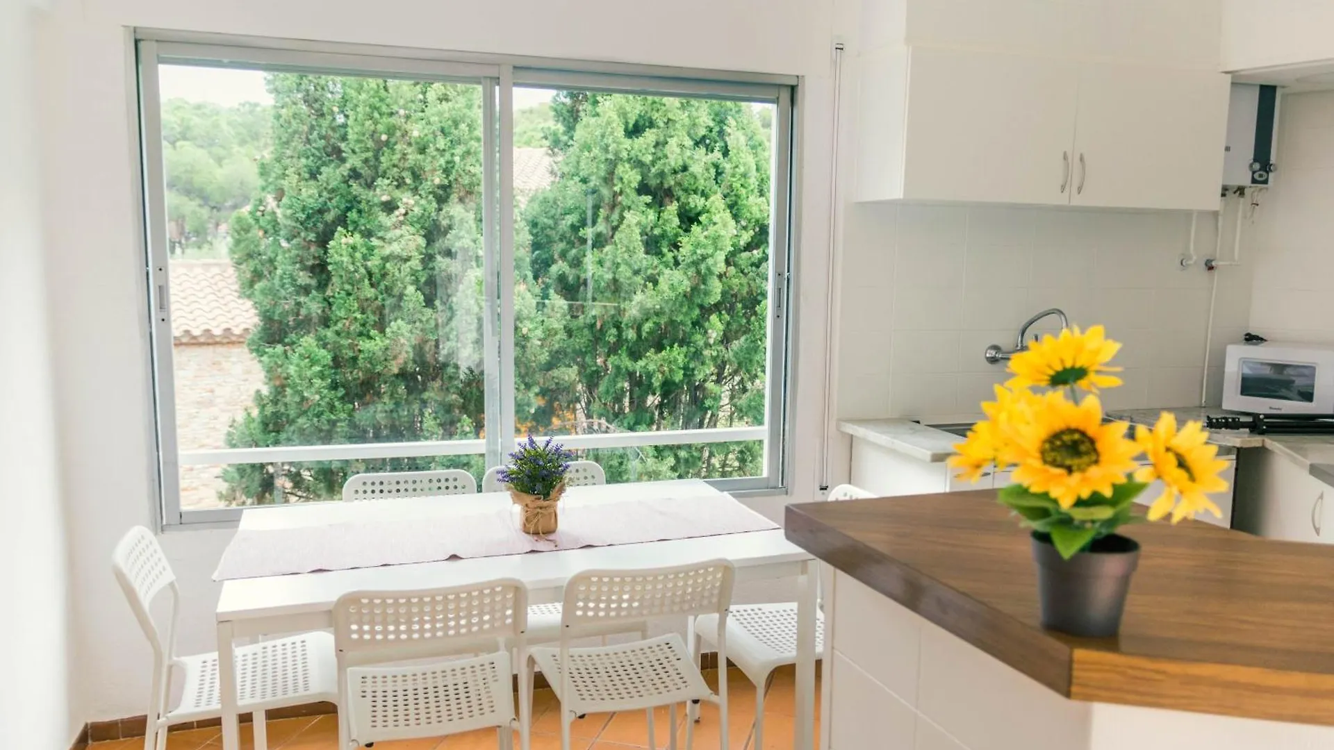Apartaments Falco Llanca Apartment